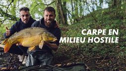 Carpe en milieu hostile