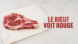 Le boeuf voit rouge