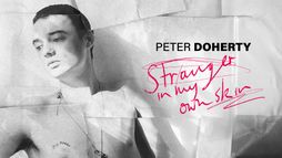 Peter Doherty : Stranger in My Own Skin