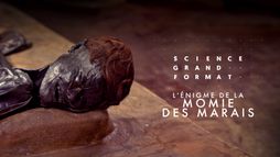 L'énigme de la momie des marais