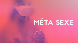 Méta Sexe
