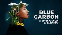 Blue Carbon - Le super-pouvoir de la nature