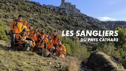 Les sangliers du Pays Cathare