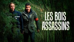 Les bois assassins