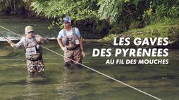 Les gaves des Pyrénées au fil des mouches
