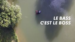 Le bass, c'est le boss