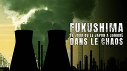 Fukushima : le jour où le Japon a sombré dans le chaos