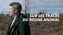 Sur les traces du règne animal