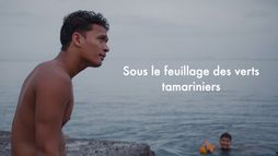 Sous le feuillage des verts tamariniers