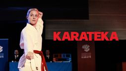 Karateka