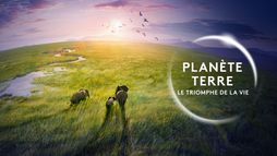 Planète Terre, le triomphe de la vie