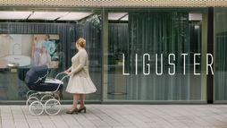 Liguster