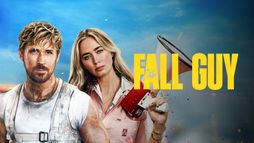 The Fall Guy