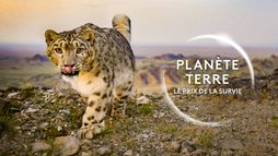 Planète Terre, le prix de la survie
