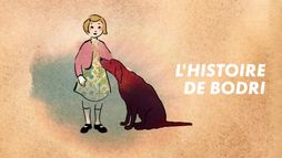 L'histoire de Bodri