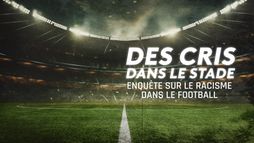 Des cris dans le stade, enquête sur le racisme dans le football