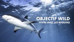 Objectif Wild - Saison 1