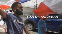 Fan de Cocorico