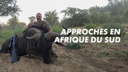 Approches en Afrique du Sud