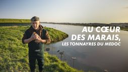 Au coeur des marais, les tonnayres du Médoc