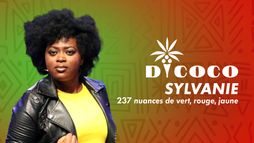 Spectacles Dycoco - Sylvanie Njeng : 237 nuances de vert, jaune, rouge