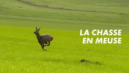 La chasse en Meuse