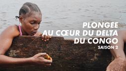 Plongée au coeur du delta du Congo