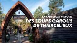 La fabuleuse histoire des loups garous de Thiercelieux