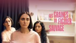 Les Graines du figuier sauvage