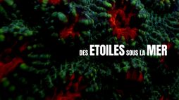 Des étoiles sous la mer