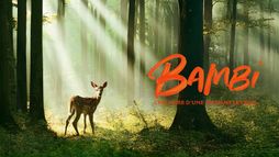 Bambi, l'histoire d'une vie dans les bois