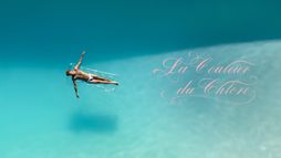 La couleur du chlore