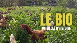 Le bio : un siècle d'histoire