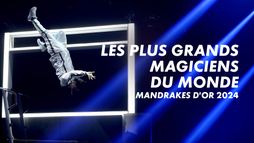 Les plus grands magiciens du monde - Mandrakes d'or