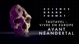Tautavel : vivre en Europe avant Néandertal