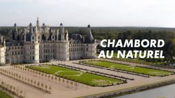 Chambord au naturel