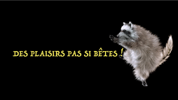 Des plaisirs pas si bêtes