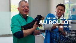 Loris Giuliano au boulot