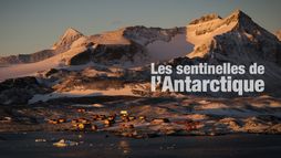 Les sentinelles de l'Antarctique