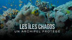 Les îles Chagos, un archipel protégé