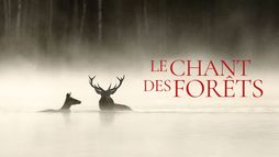Le Chant des forêts