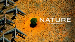Nature : pour une réconciliation