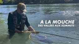 A la mouche, des vallées aux sommets pyrénéens