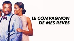 Le compagnon de mes rêves
