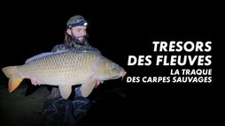 Trésors des fleuves, la traque des carpes sauvages