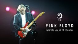 Pink Floyd: Delicate Sound of Thunder