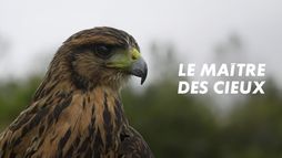 Le Maître des cieux