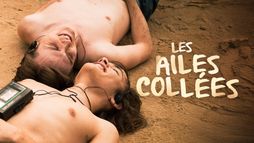 Les ailes collées
