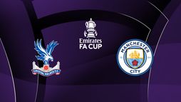 Crystal Palace / Manchester City