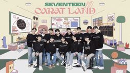 Seventeen in Carat Land